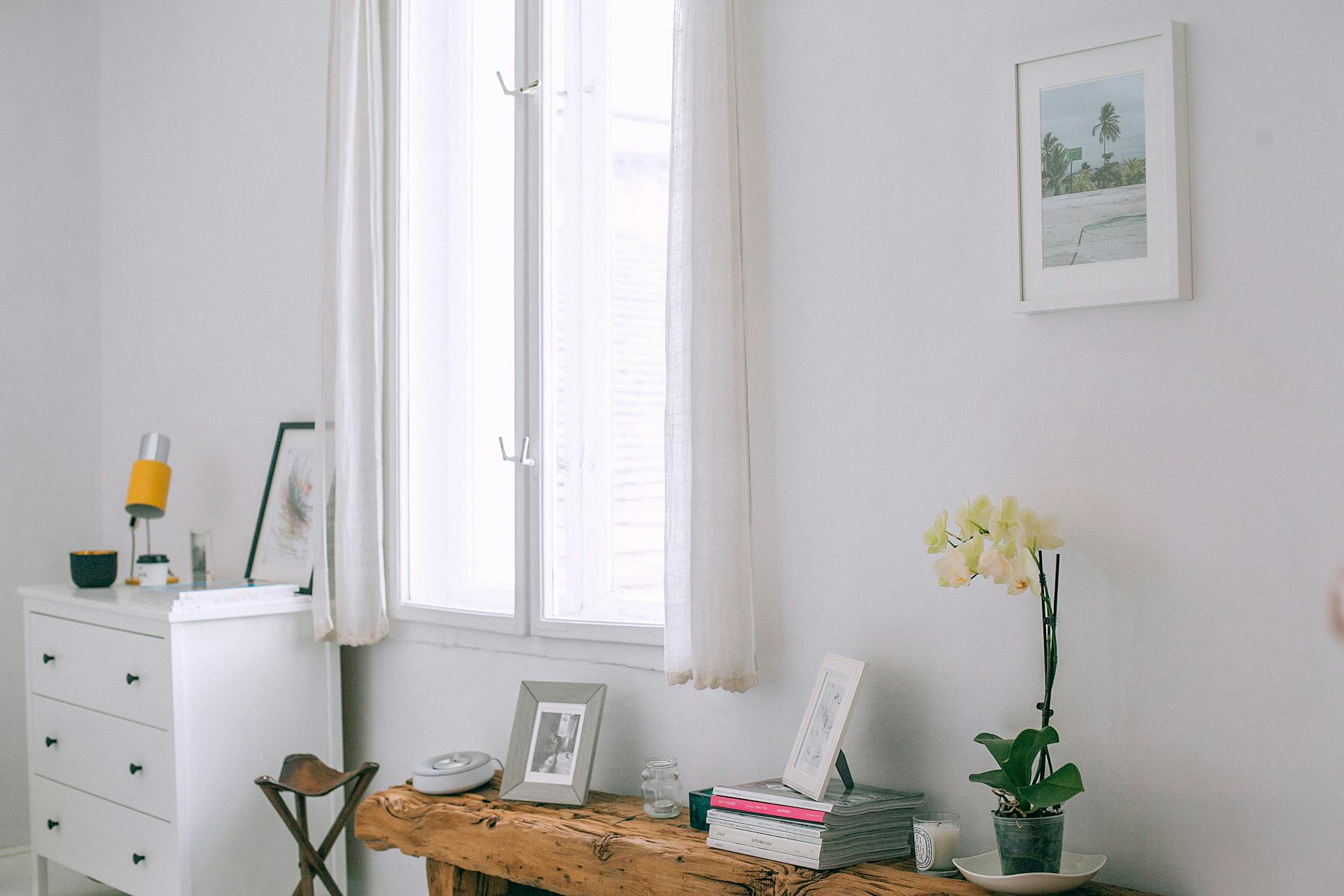 Interior of cozy rental with photo frames and flowerpot placed on wooden counter near white wall with picture and window